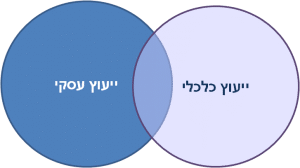 חפיפה בין ייעוץ עסקי לייעוץ כלכלי